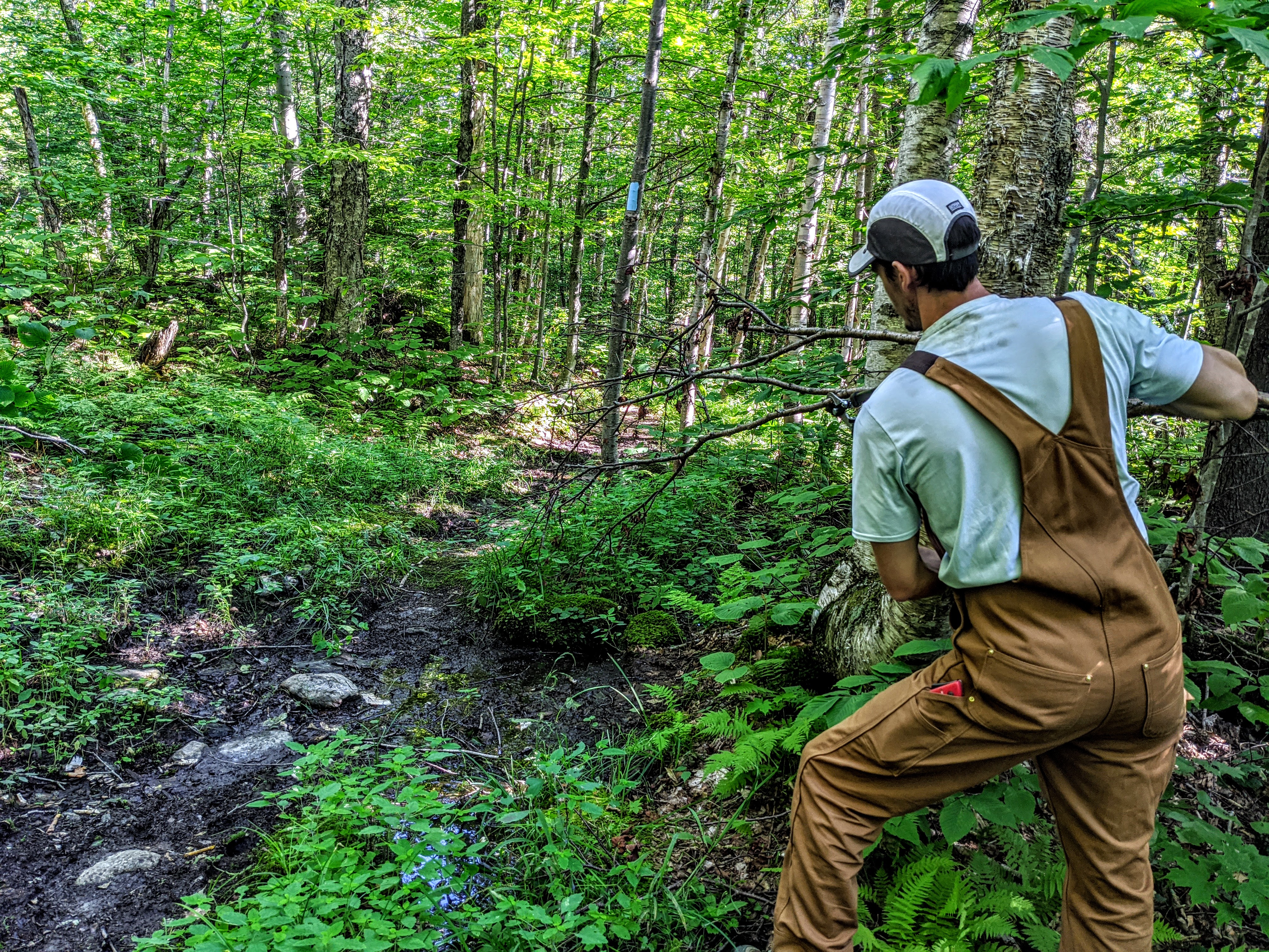 Chris Olson working as a land steward for the Stowe Land Trust